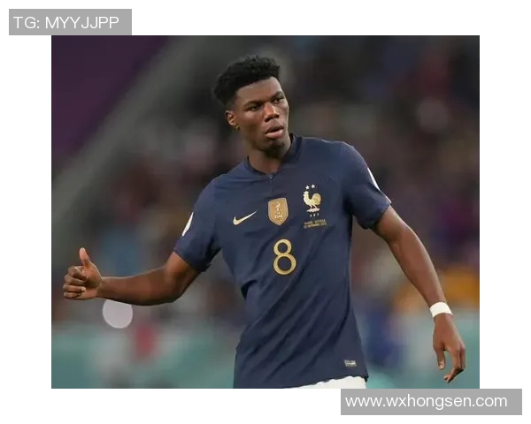 世界足球巨星全名大全盘点及历史影响力解析