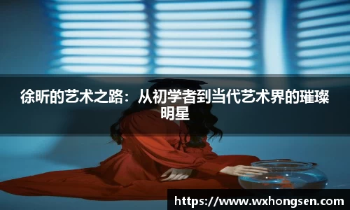 徐昕的艺术之路：从初学者到当代艺术界的璀璨明星